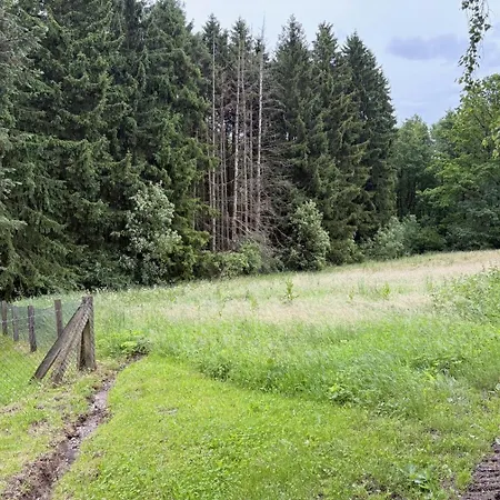 Waldhuette * Grebenstein