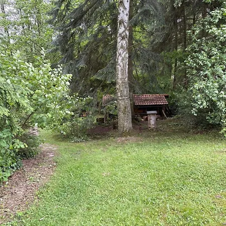 Waldhuette Chalet Grebenstein