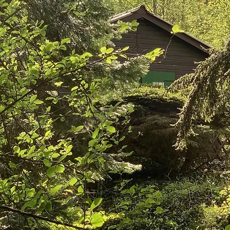 Waldhuette * Grebenstein